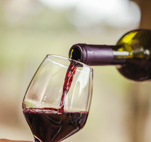 Welche Rotwein Unverträglichkeit Symptome gibt es?